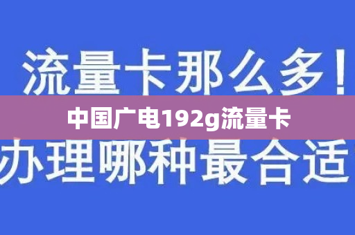 中国广电192g流量卡