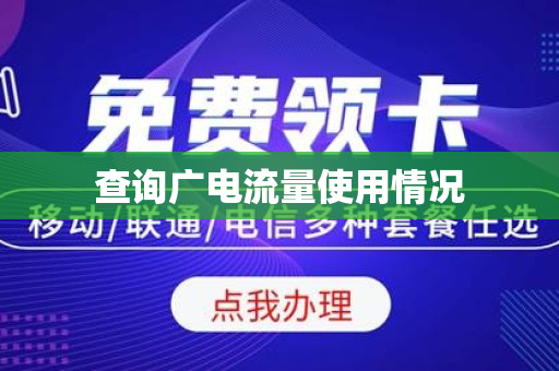 查询广电流量使用情况