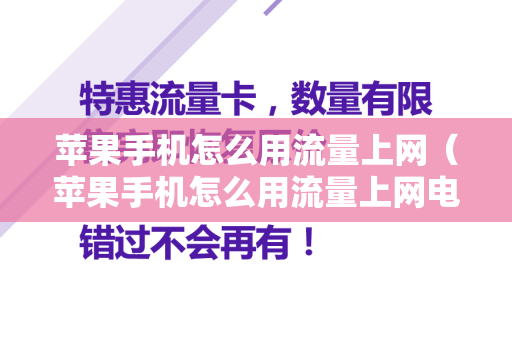 苹果手机怎么用流量上网（苹果手机怎么用流量上网电脑）