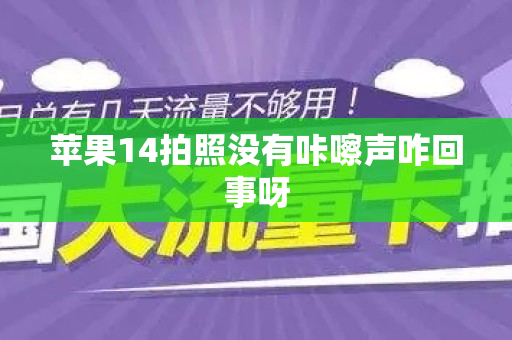 苹果14拍照没有咔嚓声咋回事呀