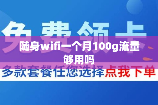 随身wifi一个月100g流量够用吗