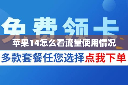 苹果14怎么看流量使用情况