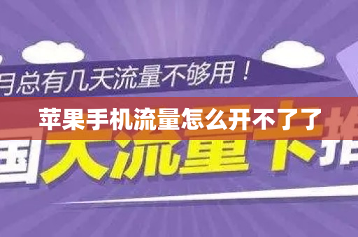 苹果手机流量怎么开不了了