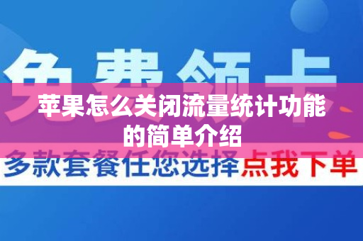 苹果怎么关闭流量统计功能的简单介绍