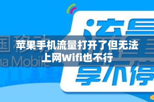 苹果手机流量打开了但无法上网Wifi也不行