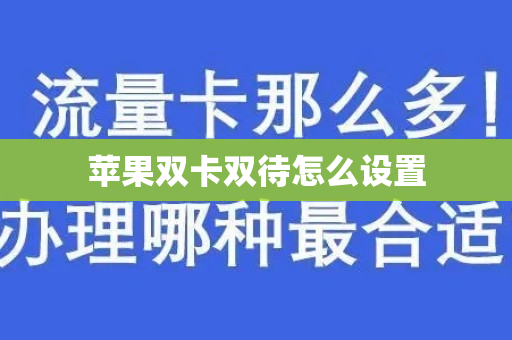 苹果双卡双待怎么设置