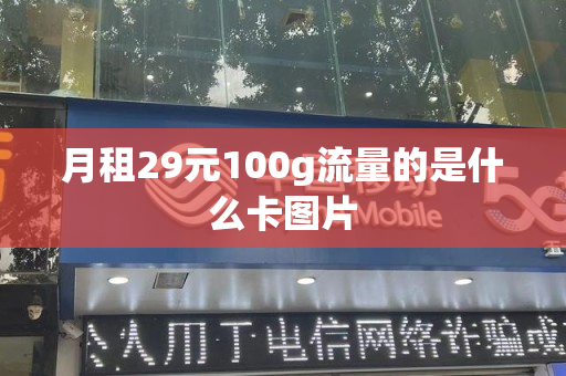 月租29元100g流量的是什么卡图片