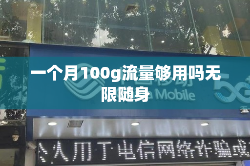 一个月100g流量够用吗无限随身