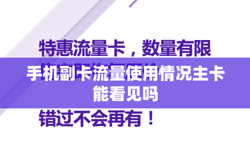 手机副卡流量使用情况主卡能看见吗