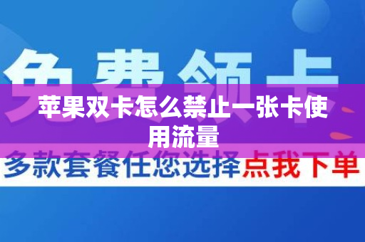 苹果双卡怎么禁止一张卡使用流量