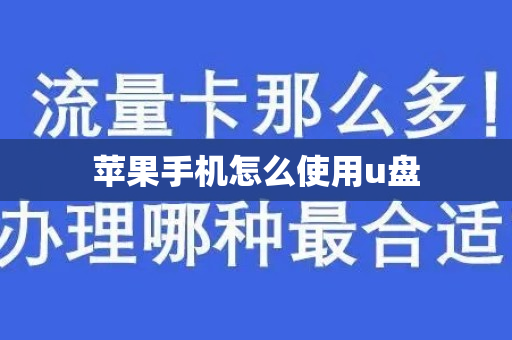 苹果手机怎么使用u盘