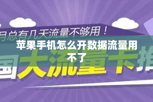 苹果手机怎么开数据流量用不了