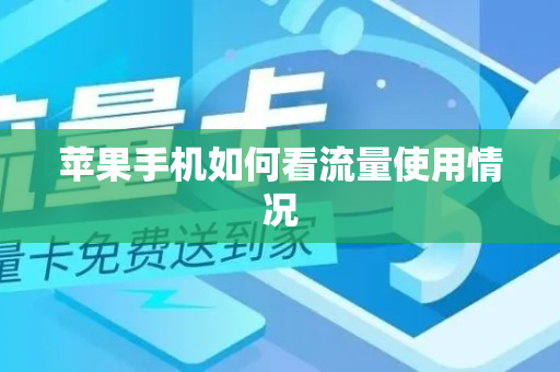 苹果手机如何看流量使用情况