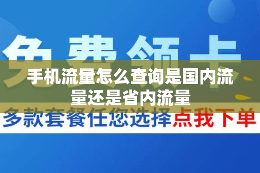 手机流量怎么查询是国内流量还是省内流量