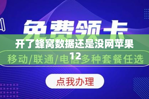 开了蜂窝数据还是没网苹果12