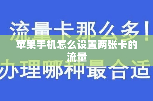 苹果手机怎么设置两张卡的流量