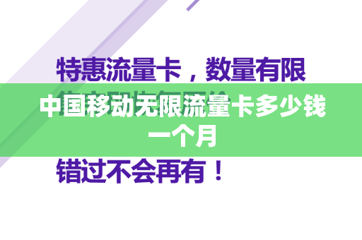 中国移动无限流量卡多少钱一个月