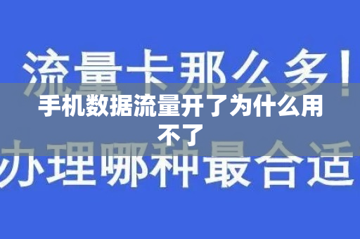 手机数据流量开了为什么用不了