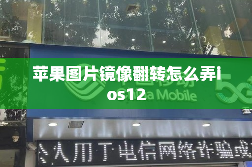 苹果图片镜像翻转怎么弄ios12