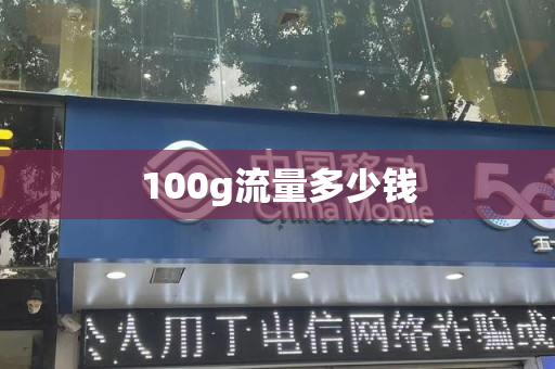 100g流量多少钱