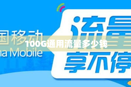 100G通用流量多少钱