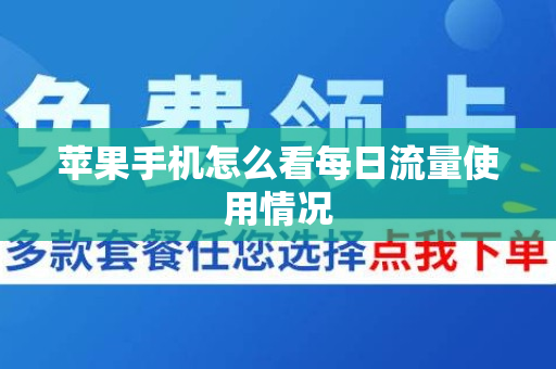 苹果手机怎么看每日流量使用情况