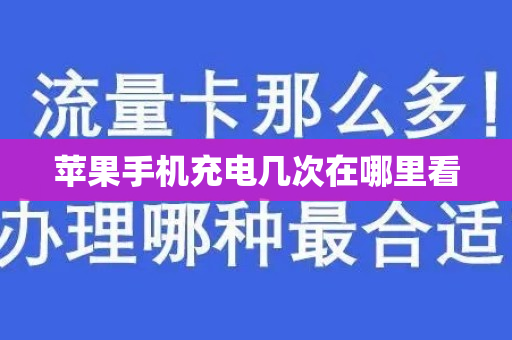 苹果手机充电几次在哪里看