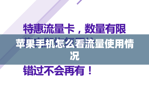 苹果手机怎么看流量使用情况