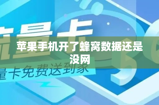 苹果手机开了蜂窝数据还是没网