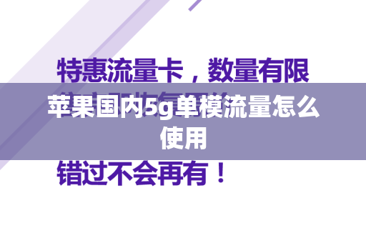 苹果国内5g单模流量怎么使用