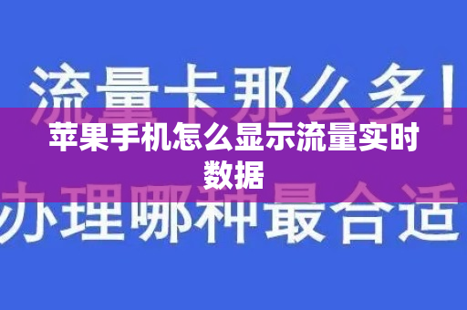 苹果手机怎么显示流量实时数据