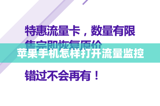 苹果手机怎样打开流量监控