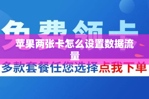 苹果两张卡怎么设置数据流量