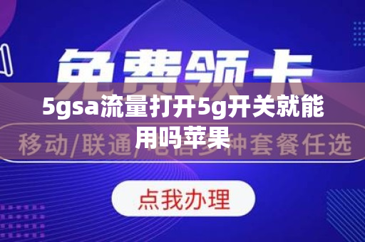 5gsa流量打开5g开关就能用吗苹果