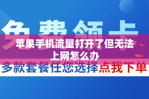 苹果手机流量打开了但无法上网怎么办