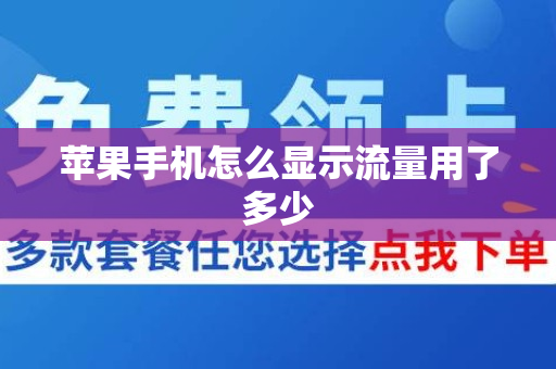 苹果手机怎么显示流量用了多少