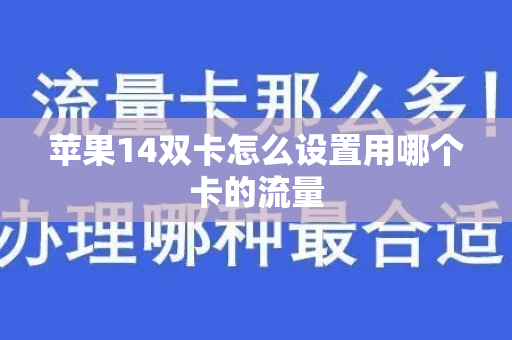 苹果14双卡怎么设置用哪个卡的流量