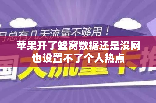 苹果开了蜂窝数据还是没网也设置不了个人热点