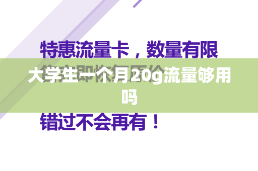 大学生一个月20g流量够用吗