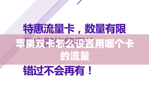 苹果双卡怎么设置用哪个卡的流量