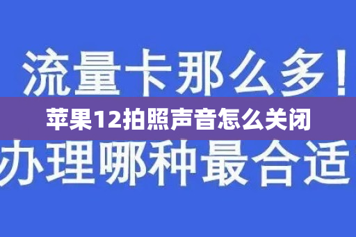 苹果12拍照声音怎么关闭