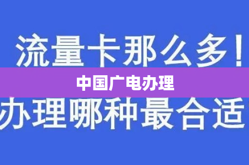 中国广电办理