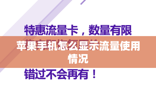 苹果手机怎么显示流量使用情况