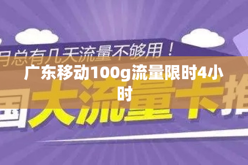 广东移动100g流量限时4小时