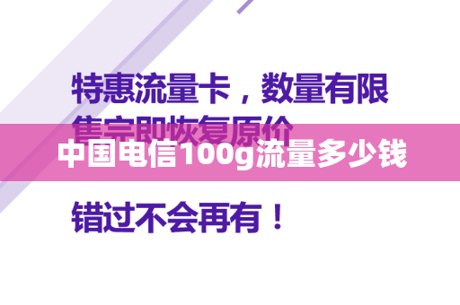 中国电信100g流量多少钱