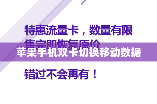 苹果手机双卡切换移动数据