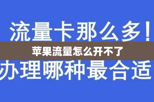 苹果流量怎么开不了