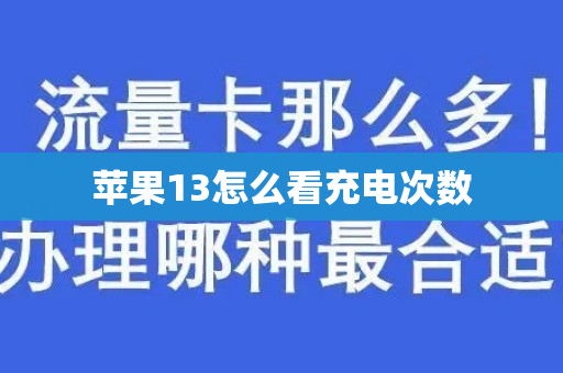 苹果13怎么看充电次数