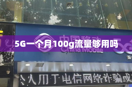 5G一个月100g流量够用吗