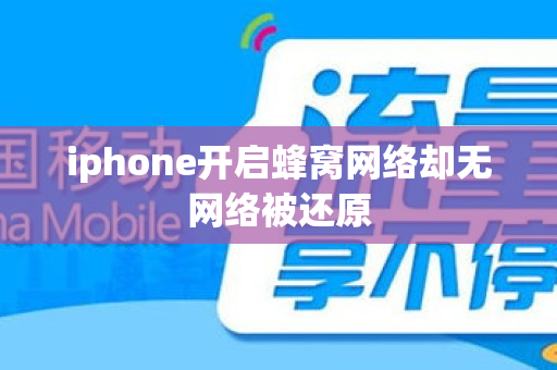 iphone开启蜂窝网络却无网络被还原